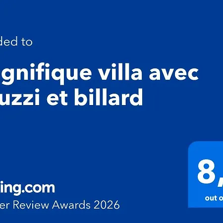 Magnifique Avec Piscine, Jacuzzi Et Billard *